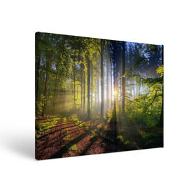 Холст прямоугольный с принтом Утро в лесу в Петрозаводске, 100% ПВХ |  | Тематика изображения на принте: bright | fog | forest | morning | sun | tree | trees | дерево | деревья | лес | солнце | туман | утро | яркое
