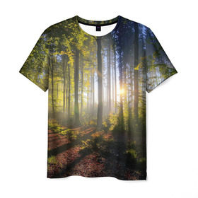 Мужская футболка 3D с принтом Утро в лесу в Петрозаводске, 100% полиэфир | прямой крой, круглый вырез горловины, длина до линии бедер | Тематика изображения на принте: bright | fog | forest | morning | sun | tree | trees | дерево | деревья | лес | солнце | туман | утро | яркое
