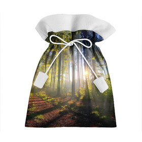 Подарочный 3D мешок с принтом Утро в лесу в Петрозаводске, 100% полиэстер | Размер: 29*39 см | bright | fog | forest | morning | sun | tree | trees | дерево | деревья | лес | солнце | туман | утро | яркое