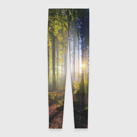 Леггинсы 3D с принтом Утро в лесу в Петрозаводске, 80% полиэстер, 20% эластан | Эластичный пояс, зауженные к низу, низкая посадка | bright | fog | forest | morning | sun | tree | trees | дерево | деревья | лес | солнце | туман | утро | яркое