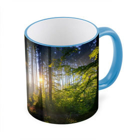 Кружка 3D с принтом Утро в лесу в Петрозаводске, керамика | ёмкость 330 мл | Тематика изображения на принте: bright | fog | forest | morning | sun | tree | trees | дерево | деревья | лес | солнце | туман | утро | яркое