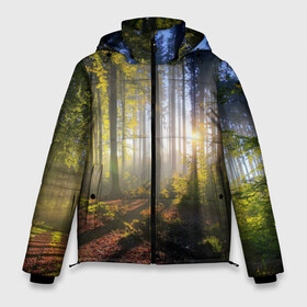 Мужская зимняя куртка 3D с принтом Утро в лесу в Петрозаводске, верх — 100% полиэстер; подкладка — 100% полиэстер; утеплитель — 100% полиэстер | длина ниже бедра, свободный силуэт Оверсайз. Есть воротник-стойка, отстегивающийся капюшон и ветрозащитная планка. 

Боковые карманы с листочкой на кнопках и внутренний карман на молнии. | bright | fog | forest | morning | sun | tree | trees | дерево | деревья | лес | солнце | туман | утро | яркое