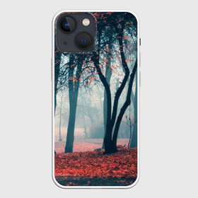Чехол для iPhone 13 mini с принтом Осень в Петрозаводске,  |  | autumn | bright | colors | forest | paint | trees | деревья | краски | лес | осень | цвета | яркие