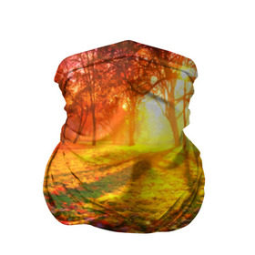 Бандана-труба 3D с принтом Осень в Петрозаводске, 100% полиэстер, ткань с особыми свойствами — Activecool | плотность 150‒180 г/м2; хорошо тянется, но сохраняет форму | autumn | bright | colors | forest | trees | деревья | краски | лес | лучи | осень | солнце | цвета | яркие