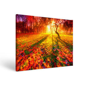 Холст прямоугольный с принтом Осень в Петрозаводске, 100% ПВХ |  | autumn | bright | colors | forest | trees | деревья | краски | лес | лучи | осень | солнце | цвета | яркие