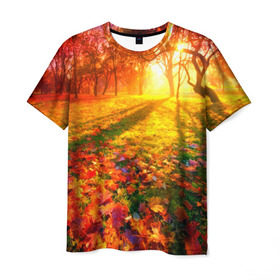 Мужская футболка 3D с принтом Осень в Петрозаводске, 100% полиэфир | прямой крой, круглый вырез горловины, длина до линии бедер | autumn | bright | colors | forest | trees | деревья | краски | лес | лучи | осень | солнце | цвета | яркие
