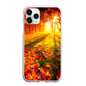 Чехол для iPhone 11 Pro матовый с принтом Осень в Петрозаводске, Силикон |  | autumn | bright | colors | forest | trees | деревья | краски | лес | лучи | осень | солнце | цвета | яркие