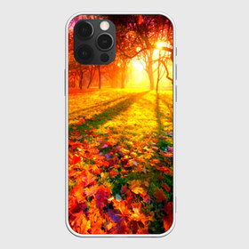 Чехол для iPhone 12 Pro Max с принтом Осень в Петрозаводске, Силикон |  | autumn | bright | colors | forest | trees | деревья | краски | лес | лучи | осень | солнце | цвета | яркие