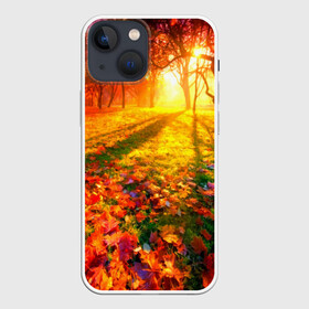 Чехол для iPhone 13 mini с принтом Осень в Петрозаводске,  |  | autumn | bright | colors | forest | trees | деревья | краски | лес | лучи | осень | солнце | цвета | яркие