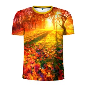 Мужская футболка 3D спортивная с принтом Осень в Петрозаводске, 100% полиэстер с улучшенными характеристиками | приталенный силуэт, круглая горловина, широкие плечи, сужается к линии бедра | Тематика изображения на принте: autumn | bright | colors | forest | trees | деревья | краски | лес | лучи | осень | солнце | цвета | яркие
