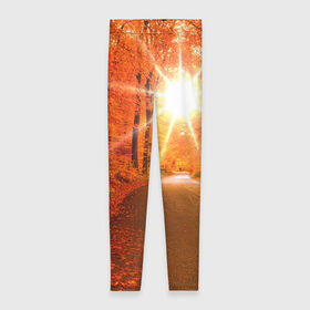 Леггинсы 3D с принтом Осеннее солнце в Петрозаводске, 80% полиэстер, 20% эластан | Эластичный пояс, зауженные к низу, низкая посадка | autumn | bright | colors | forest | trees | деревья | дорога | краски | лес | лучи | осень | солнце | цвета | яркие