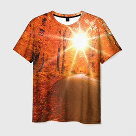 Мужская футболка 3D с принтом Осеннее солнце в Петрозаводске, 100% полиэфир | прямой крой, круглый вырез горловины, длина до линии бедер | autumn | bright | colors | forest | trees | деревья | дорога | краски | лес | лучи | осень | солнце | цвета | яркие