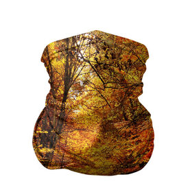 Бандана-труба 3D с принтом Осень в Петрозаводске, 100% полиэстер, ткань с особыми свойствами — Activecool | плотность 150‒180 г/м2; хорошо тянется, но сохраняет форму | autumn | bright | colors | forest | paint | trees | деревья | краски | лес | осень | цвета | яркие