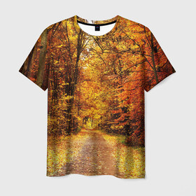 Мужская футболка 3D с принтом Осень в Петрозаводске, 100% полиэфир | прямой крой, круглый вырез горловины, длина до линии бедер | Тематика изображения на принте: autumn | bright | colors | forest | paint | trees | деревья | краски | лес | осень | цвета | яркие