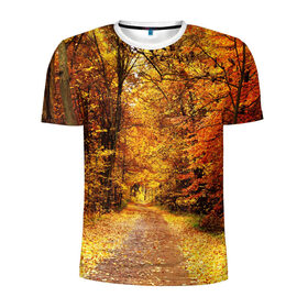 Мужская футболка 3D спортивная с принтом Осень в Петрозаводске, 100% полиэстер с улучшенными характеристиками | приталенный силуэт, круглая горловина, широкие плечи, сужается к линии бедра | autumn | bright | colors | forest | paint | trees | деревья | краски | лес | осень | цвета | яркие