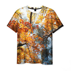 Мужская футболка 3D с принтом Осень в Петрозаводске, 100% полиэфир | прямой крой, круглый вырез горловины, длина до линии бедер | 