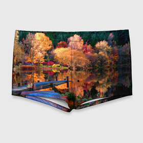 Мужские купальные плавки 3D с принтом Осень в Петрозаводске, Полиэстер 85%, Спандекс 15% |  | autumn | boat | bright | colors | forest | paint | river | trees | деревья | краски | лес | лодка | осень | река | цвета | яркие