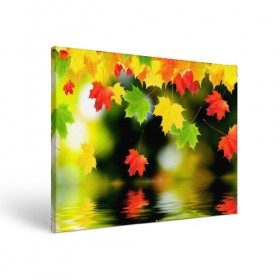 Холст прямоугольный с принтом Осень в Петрозаводске, 100% ПВХ |  | autumn | bright | color | forest | leaves | maple | paint | reflection | river | trees | деревья | клён | краски | лес | листья | осень | отражение | река | цвета | яркие