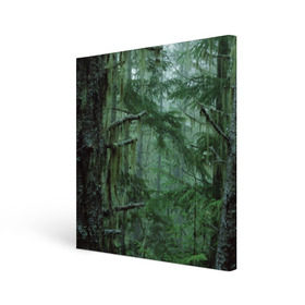 Холст квадратный с принтом Дремучий лес в Петрозаводске, 100% ПВХ |  | camouflage | dense | fog | forest | spruce | tree | дремучий | ёлка | ельник | камуфляж | лес | маскировка | туман