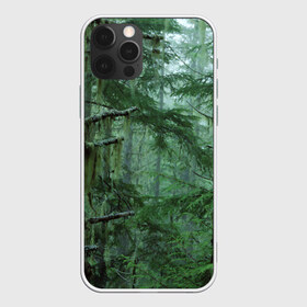 Чехол для iPhone 12 Pro Max с принтом Дремучий лес в Петрозаводске, Силикон |  | Тематика изображения на принте: camouflage | dense | fog | forest | spruce | tree | дремучий | ёлка | ельник | камуфляж | лес | маскировка | туман