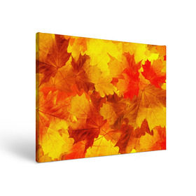 Холст прямоугольный с принтом Осень в Петрозаводске, 100% ПВХ |  | autumn | bright | color | forest | leaves | maple | paint | trees | деревья | клен | краски | лес | листья | осень | цвета | яркие