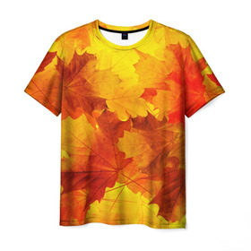 Мужская футболка 3D с принтом Осень в Петрозаводске, 100% полиэфир | прямой крой, круглый вырез горловины, длина до линии бедер | autumn | bright | color | forest | leaves | maple | paint | trees | деревья | клен | краски | лес | листья | осень | цвета | яркие