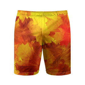 Мужские шорты 3D спортивные с принтом Осень в Петрозаводске,  |  | autumn | bright | color | forest | leaves | maple | paint | trees | деревья | клен | краски | лес | листья | осень | цвета | яркие
