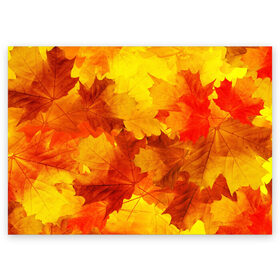 Поздравительная открытка с принтом Осень в Петрозаводске, 100% бумага | плотность бумаги 280 г/м2, матовая, на обратной стороне линовка и место для марки
 | autumn | bright | color | forest | leaves | maple | paint | trees | деревья | клен | краски | лес | листья | осень | цвета | яркие