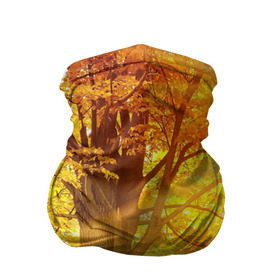 Бандана-труба 3D с принтом Осень в Петрозаводске, 100% полиэстер, ткань с особыми свойствами — Activecool | плотность 150‒180 г/м2; хорошо тянется, но сохраняет форму | autumn | bright | colors | forest | paint | trees | деревья | краски | лес | осень | цвета | яркие