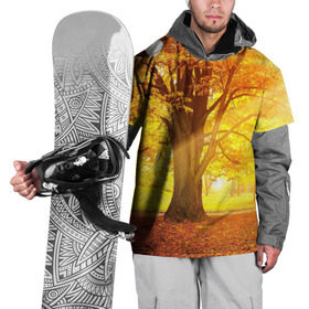 Накидка на куртку 3D с принтом Осень в Петрозаводске, 100% полиэстер |  | autumn | bright | colors | forest | paint | trees | деревья | краски | лес | осень | цвета | яркие