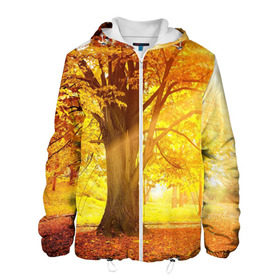 Мужская куртка 3D с принтом Осень в Петрозаводске, ткань верха — 100% полиэстер, подклад — флис | прямой крой, подол и капюшон оформлены резинкой с фиксаторами, два кармана без застежек по бокам, один большой потайной карман на груди. Карман на груди застегивается на липучку | Тематика изображения на принте: autumn | bright | colors | forest | paint | trees | деревья | краски | лес | осень | цвета | яркие