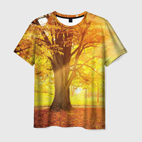 Мужская футболка 3D с принтом Осень в Петрозаводске, 100% полиэфир | прямой крой, круглый вырез горловины, длина до линии бедер | autumn | bright | colors | forest | paint | trees | деревья | краски | лес | осень | цвета | яркие