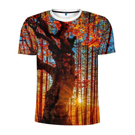 Мужская футболка 3D спортивная с принтом Осень в Петрозаводске, 100% полиэстер с улучшенными характеристиками | приталенный силуэт, круглая горловина, широкие плечи, сужается к линии бедра | Тематика изображения на принте: autumn | bright | colors | forest | trees | деревья | краски | лес | лучи | осень | солнце | цвета | яркие