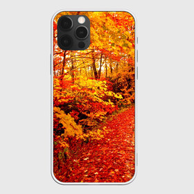 Чехол для iPhone 12 Pro Max с принтом Осень в Петрозаводске, Силикон |  | autumn | bright | colors | forest | paint | trees | деревья | краски | лес | осень | цвета | яркие