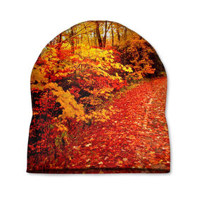 Шапка 3D с принтом Осень в Петрозаводске, 100% полиэстер | универсальный размер, печать по всей поверхности изделия | Тематика изображения на принте: autumn | bright | colors | forest | paint | trees | деревья | краски | лес | осень | цвета | яркие