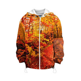Детская куртка 3D с принтом Осень в Петрозаводске, 100% полиэстер | застежка — молния, подол и капюшон оформлены резинкой с фиксаторами, по бокам — два кармана без застежек, один потайной карман на груди, плотность верхнего слоя — 90 г/м2; плотность флисового подклада — 260 г/м2 | autumn | bright | colors | forest | paint | trees | деревья | краски | лес | осень | цвета | яркие