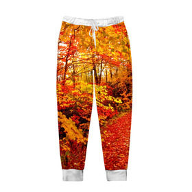 Мужские брюки 3D с принтом Осень в Петрозаводске, 100% полиэстер | манжеты по низу, эластичный пояс регулируется шнурком, по бокам два кармана без застежек, внутренняя часть кармана из мелкой сетки | autumn | bright | colors | forest | paint | trees | деревья | краски | лес | осень | цвета | яркие