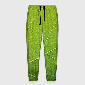 Мужские брюки 3D с принтом Листик 2 в Петрозаводске, 100% полиэстер | манжеты по низу, эластичный пояс регулируется шнурком, по бокам два кармана без застежек, внутренняя часть кармана из мелкой сетки | зеленый | зелень | лист | природа | растения