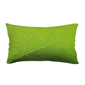 Подушка 3D антистресс с принтом Листик 2 в Петрозаводске, наволочка — 100% полиэстер, наполнитель — вспененный полистирол | состоит из подушки и наволочки на молнии | зеленый | зелень | лист | природа | растения