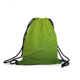 Рюкзак-мешок 3D с принтом Листик 2 в Петрозаводске, 100% полиэстер | плотность ткани — 200 г/м2, размер — 35 х 45 см; лямки — толстые шнурки, застежка на шнуровке, без карманов и подкладки | зеленый | зелень | лист | природа | растения