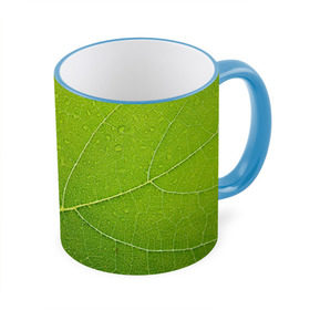 Кружка 3D с принтом Листик 2 в Петрозаводске, керамика | ёмкость 330 мл | Тематика изображения на принте: зеленый | зелень | лист | природа | растения