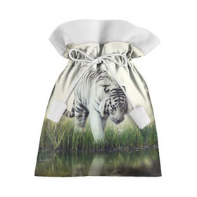 Подарочный 3D мешок с принтом Белый тигр в Петрозаводске, 100% полиэстер | Размер: 29*39 см | Тематика изображения на принте: дикая кошка | природа | тигр | хищник
