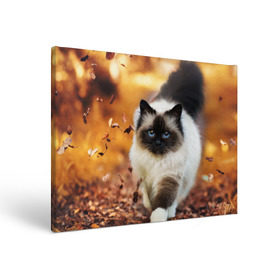 Холст прямоугольный с принтом Котик в листьях в Петрозаводске, 100% ПВХ |  | грация | кот | котик | кошка | листья | осень