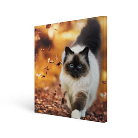 Холст квадратный с принтом Котик в листьях в Петрозаводске, 100% ПВХ |  | грация | кот | котик | кошка | листья | осень