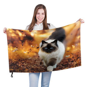 Флаг 3D с принтом Котик в листьях в Петрозаводске, 100% полиэстер | плотность ткани — 95 г/м2, размер — 67 х 109 см. Принт наносится с одной стороны | грация | кот | котик | кошка | листья | осень