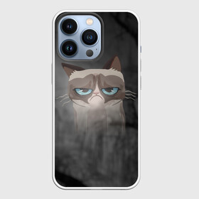 Чехол для iPhone 13 Pro с принтом Grumpy Cat в Петрозаводске,  |  | кот | мем | угрюмый