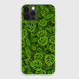 Чехол для iPhone 12 Pro Max с принтом Тропические листья в Петрозаводске, Силикон |  | джунгли | монстера | пальма | растения | тропики