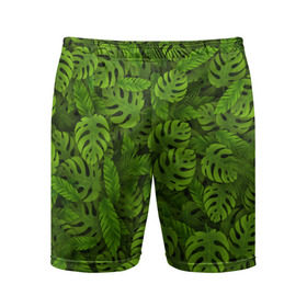 Мужские шорты 3D спортивные с принтом Тропические листья в Петрозаводске,  |  | джунгли | монстера | пальма | растения | тропики