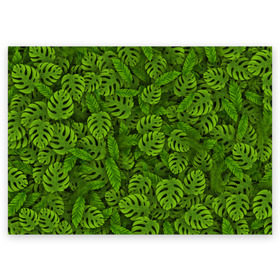 Поздравительная открытка с принтом Тропические листья в Петрозаводске, 100% бумага | плотность бумаги 280 г/м2, матовая, на обратной стороне линовка и место для марки
 | джунгли | монстера | пальма | растения | тропики