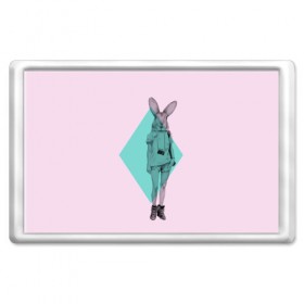 Магнит 45*70 с принтом Pink Rabbit в Петрозаводске, Пластик | Размер: 78*52 мм; Размер печати: 70*45 | Тематика изображения на принте: hipster | rabbit | swag | кролик | хипстер